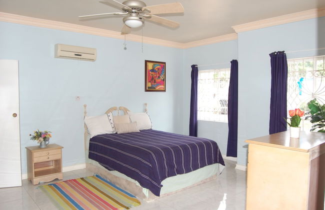 Celebrity Villa Jamaica - Photo 17