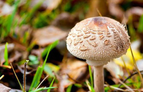 Cabañas Vallecino - Foto 77