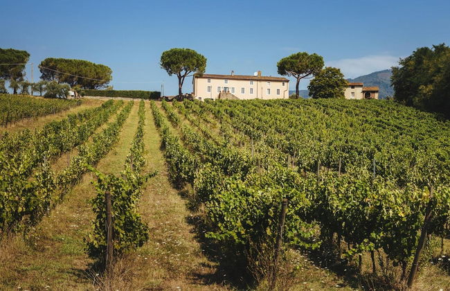 Fattoria Camigliano Wine Estate - Foto 14