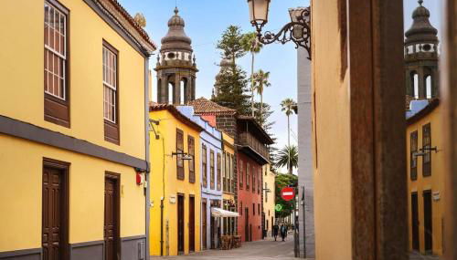 Las Rosas de Clara - Foto 5