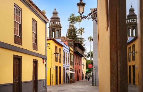 Las Rosas de Clara - Foto 5