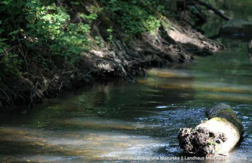 Szwajcaria Mazurska - Foto 38