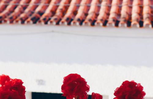 Casas da Olaria - Foto 78