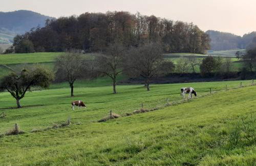 Ferienwohnung Odenwaldflair - Photo 8