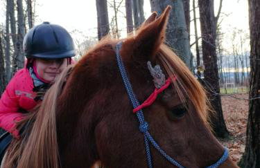 Izerska Zagroda - Foto 27