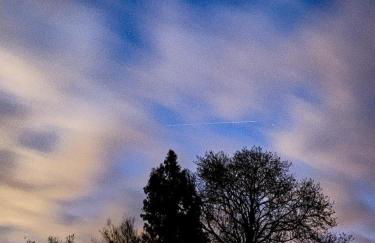 The Shepherd's Hut with cozy logburner - Foto 66