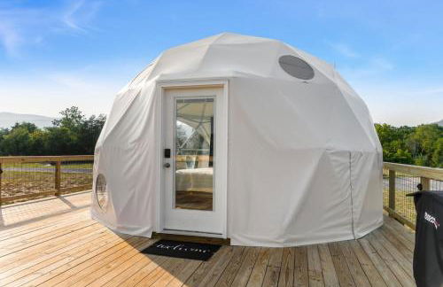 Faraway Geodome with Views - Photo 61