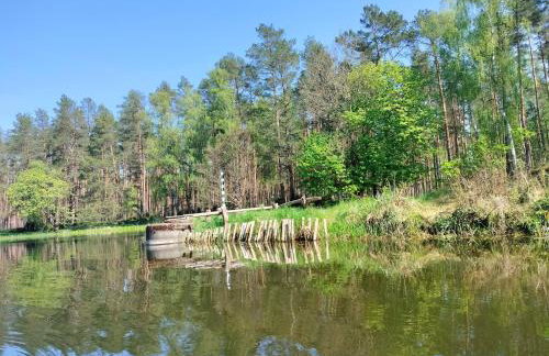 Leśna Chata kuracyjna nad rzeką z sauną w Borach Tucholskich - Foto 63