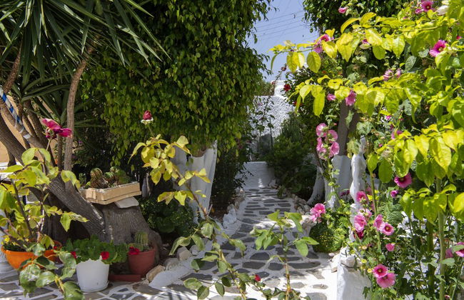 Ricos Two bedroom House - Naoussa Paros - Foto 30