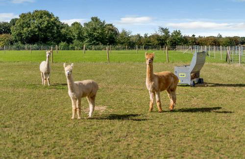 Blackwell Barn - Foto 28