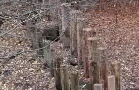 Ferienwohnung-malanders - Foto 30