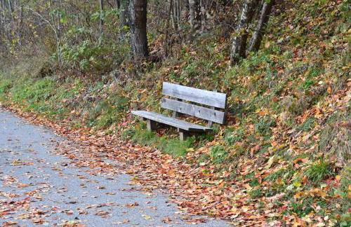 Ferienwohnung Pramstaller - Foto 19