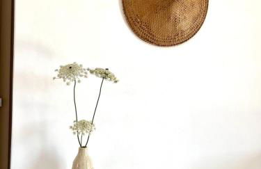 Ampelonas Antiparos - Foto 30