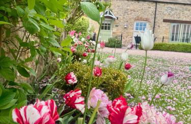 Parr Cottage at Snape Castle Mews - Foto 29