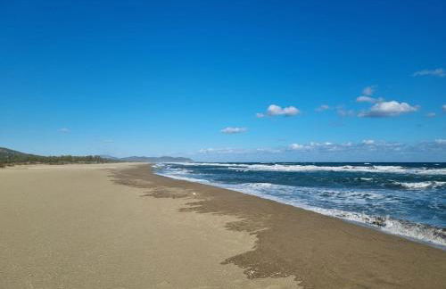 Diongard House - Foto 40