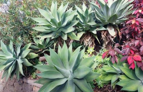 VILLA LEONARDO - Foto 48