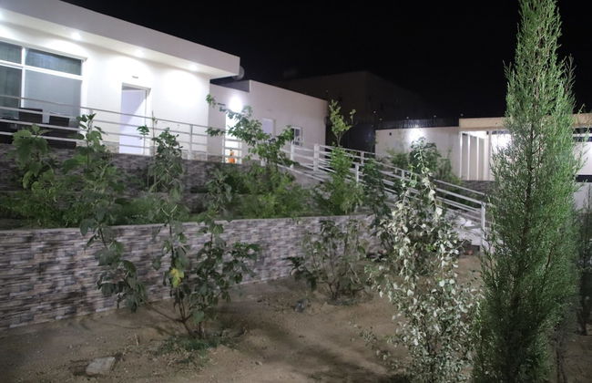 Alestiraha Elegant - Foto 28