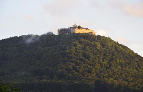 Ferienwohnung Zaunkönig - Foto 4