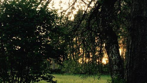 Grimm`s Waldhäuschen - Foto 4