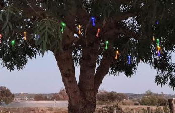 Herdade das Castas Nobres - Foto 121