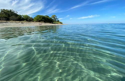 Maison au calme piscine mer au coeur de la nature U Nuciolu - Foto 9
