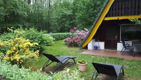 gemütliches Waldhaus - Foto 2, Garden