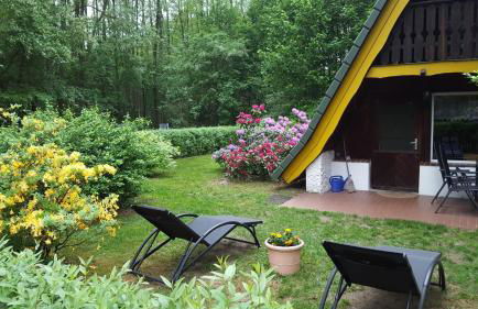 gemütliches Waldhaus - Photo 2