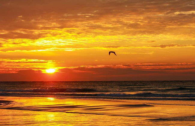 Sunset Escapes B - Photo 58