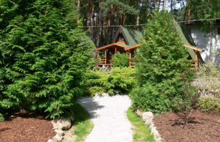 Ośrodek Wypoczynkowy Puszczyk Wolnostojące Domki Sosnowe z zadaszonym tarasem - Foto 8