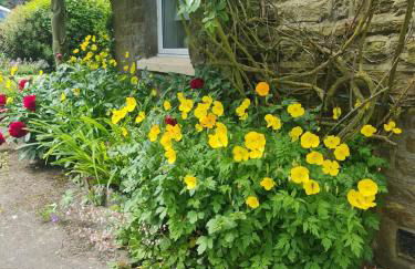 Mayfield Cottage - Foto 9