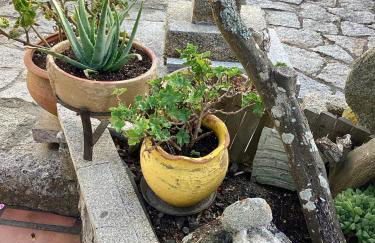 Ático con terraza - Foto 37