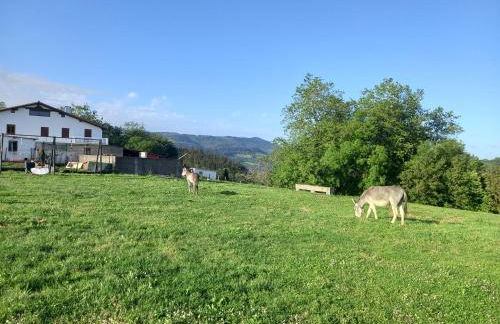 Agroturismo Pagoederraga - Foto 29