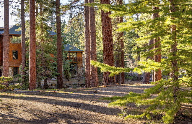 Hyatt Vacation Club at High Sierra Lodge, Lake Tahoe - Foto 53