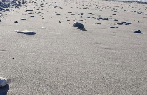 Petra Marina Aurora - Foto 41