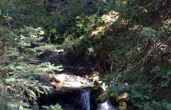 Treehouse by the Stream - Photo 19