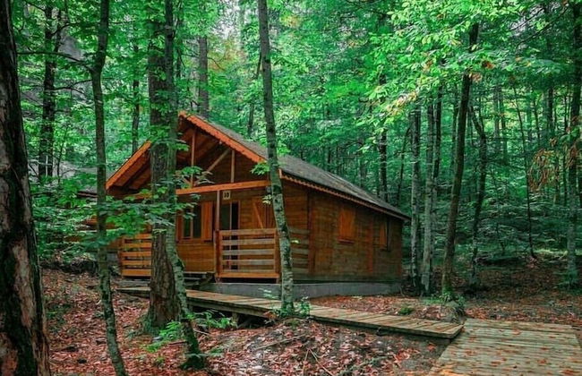 Habitat Mesire Evleri - Foto 44