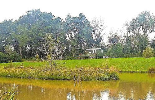 Idyllic Shepherds Hut glorious views to South Downs 'Perch' - Foto 12