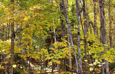 Secluded Waterfront Cabin Rental on Lake Superior near Red Cliff, Wisconsin - Foto 15