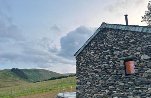 Wild boar barn - Foto 35