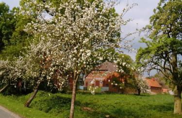 Am Storchennest - Foto 22