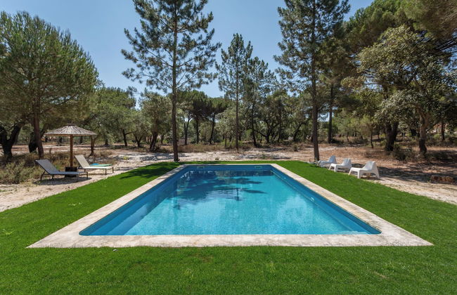 Herdade de Montalvo - Foto 7