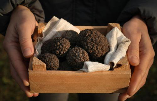 Holiday Home Villa Nicolara by Interhome - Photo 74