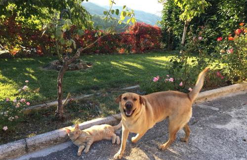 Appartamenti Monte Alago - Photo 9