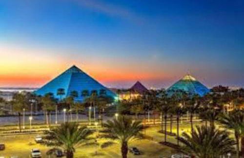 The Blue Pelican - Foto 38