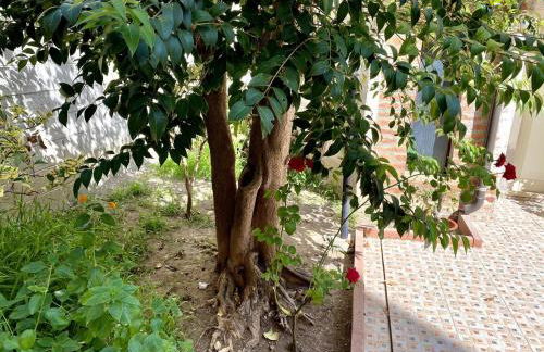 Il Giardino Segreto - Foto 15