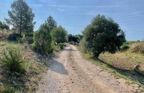 Maison Pipette Pipette Maison - Foto 25