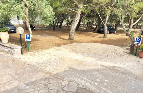 Residence Conchiglia San Giovanni - Foto 33