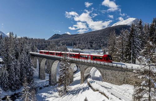 La Casetta -Valtellina-15 min Bernina Express - Foto 15