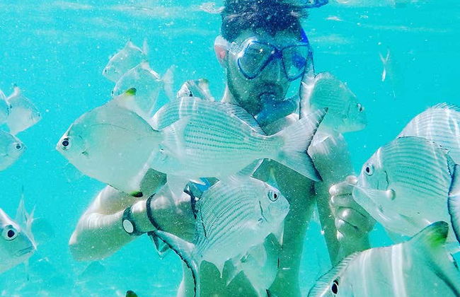 Balade en kayak + Snorkeling à Gold Coast - Photo 6