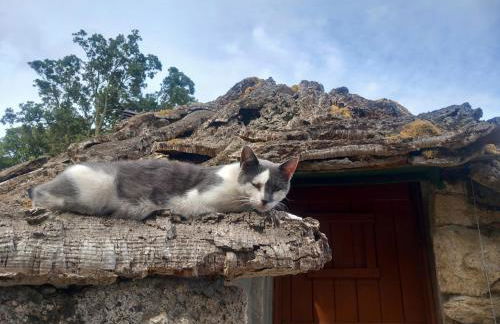 Rifugio Ortobene - Foto 40